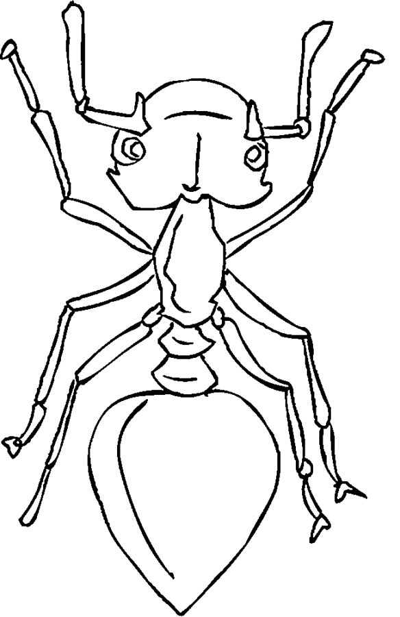 Desenho de Formigas para colorir
