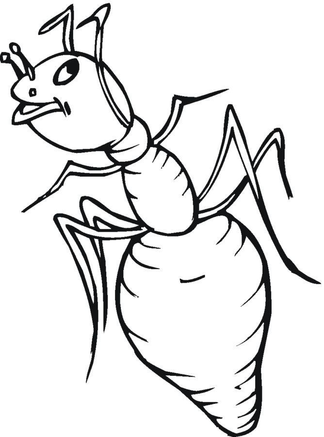 Desenho de Formigas para colorir