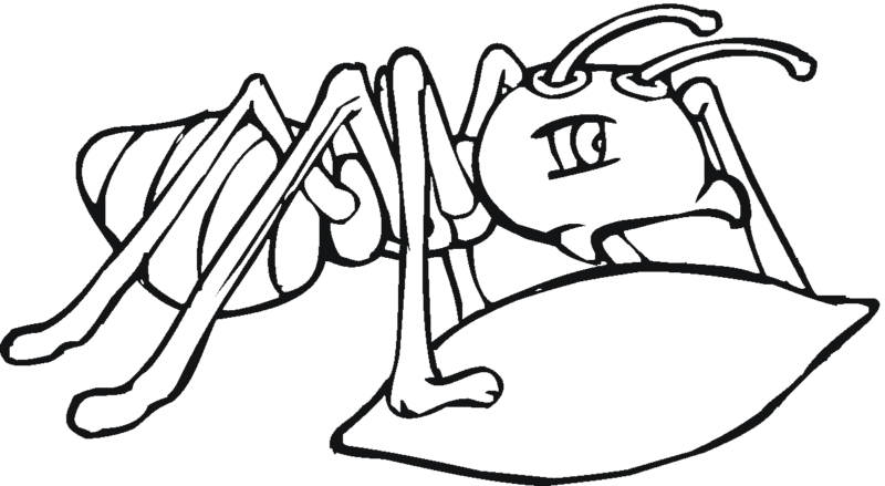 Desenho de Formigas para colorir