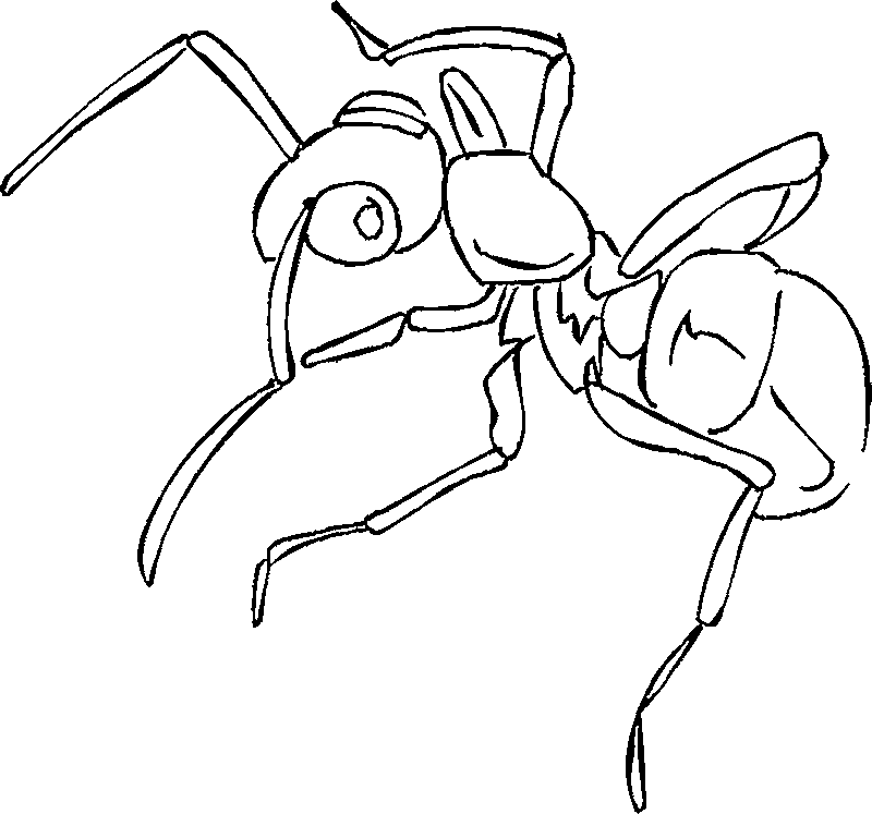 Desenho de Formigas para colorir
