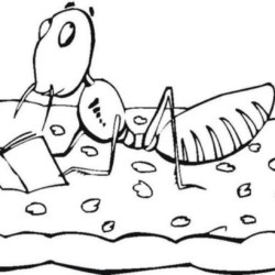 Desenho de Formigas para colorir