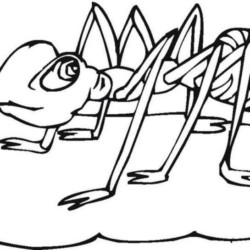 Desenho de Formigas para colorir