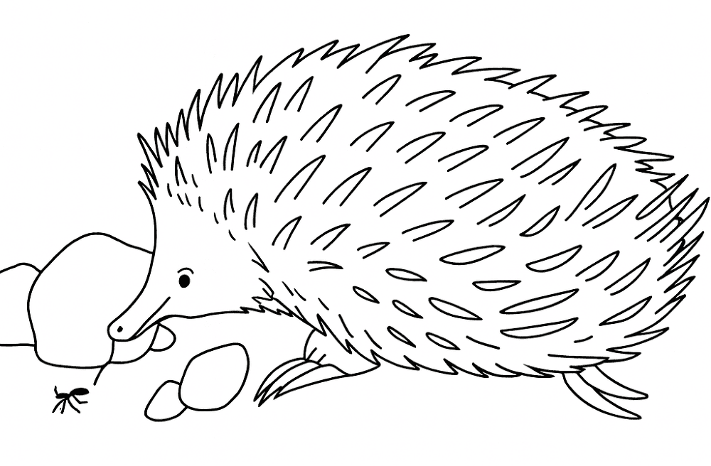 Desenho de Formigas para colorir