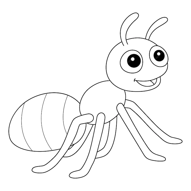 Desenho de Formigas para colorir