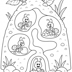 Desenho de Formigas para colorir