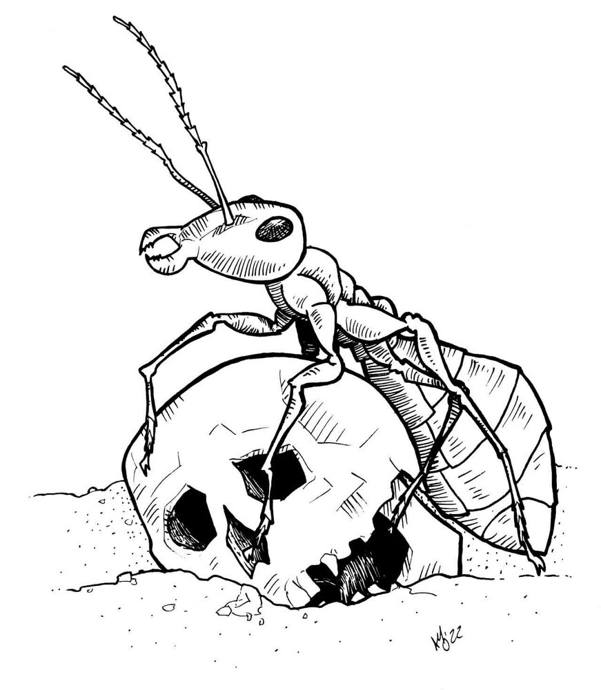 Desenho de Formigas para colorir