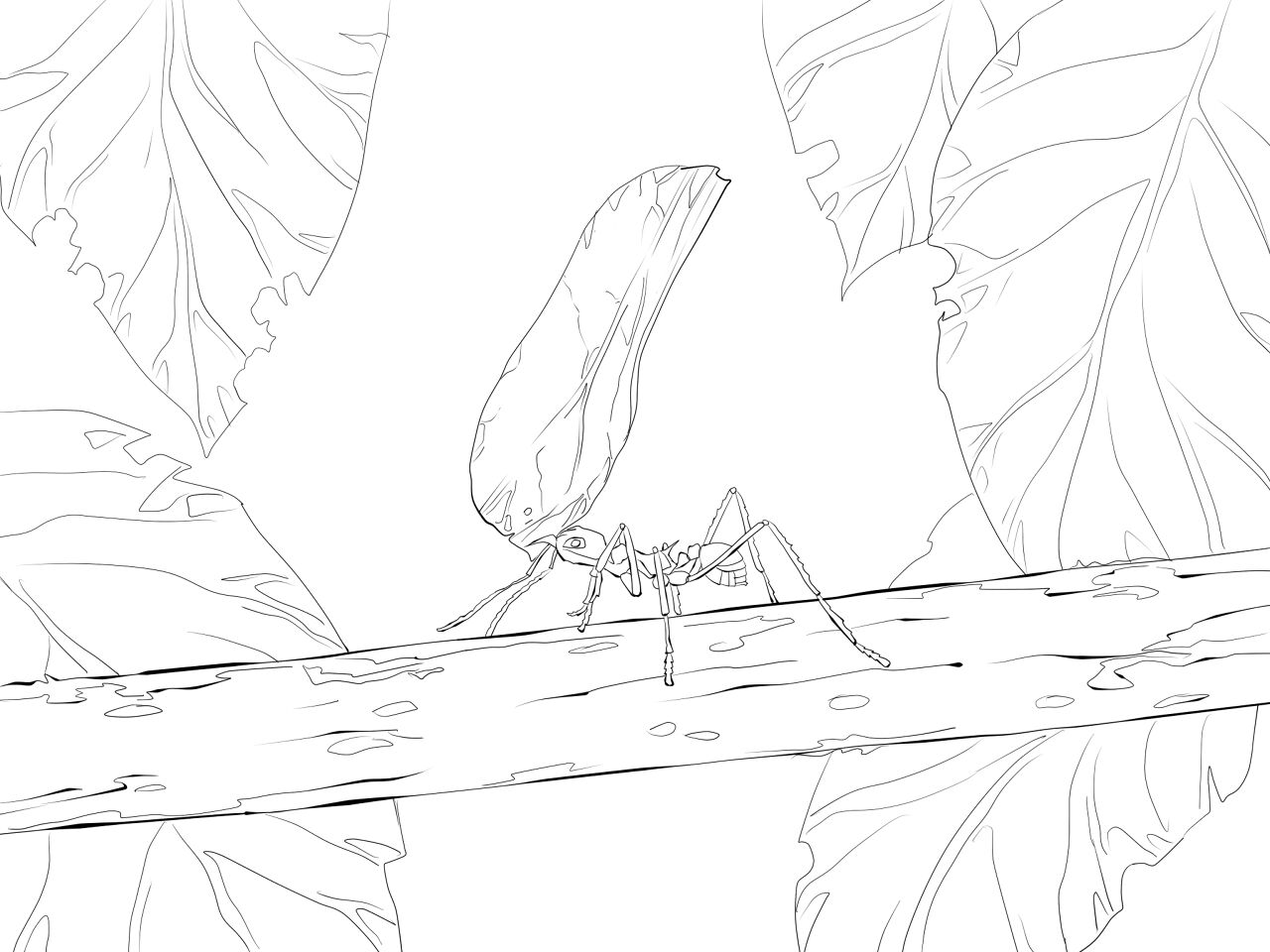 Desenho de Formigas para colorir