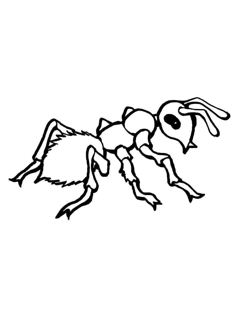 Desenho de Formigas para colorir