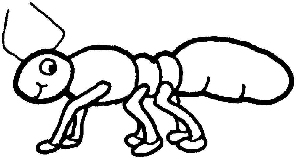 Desenho de Formigas para colorir