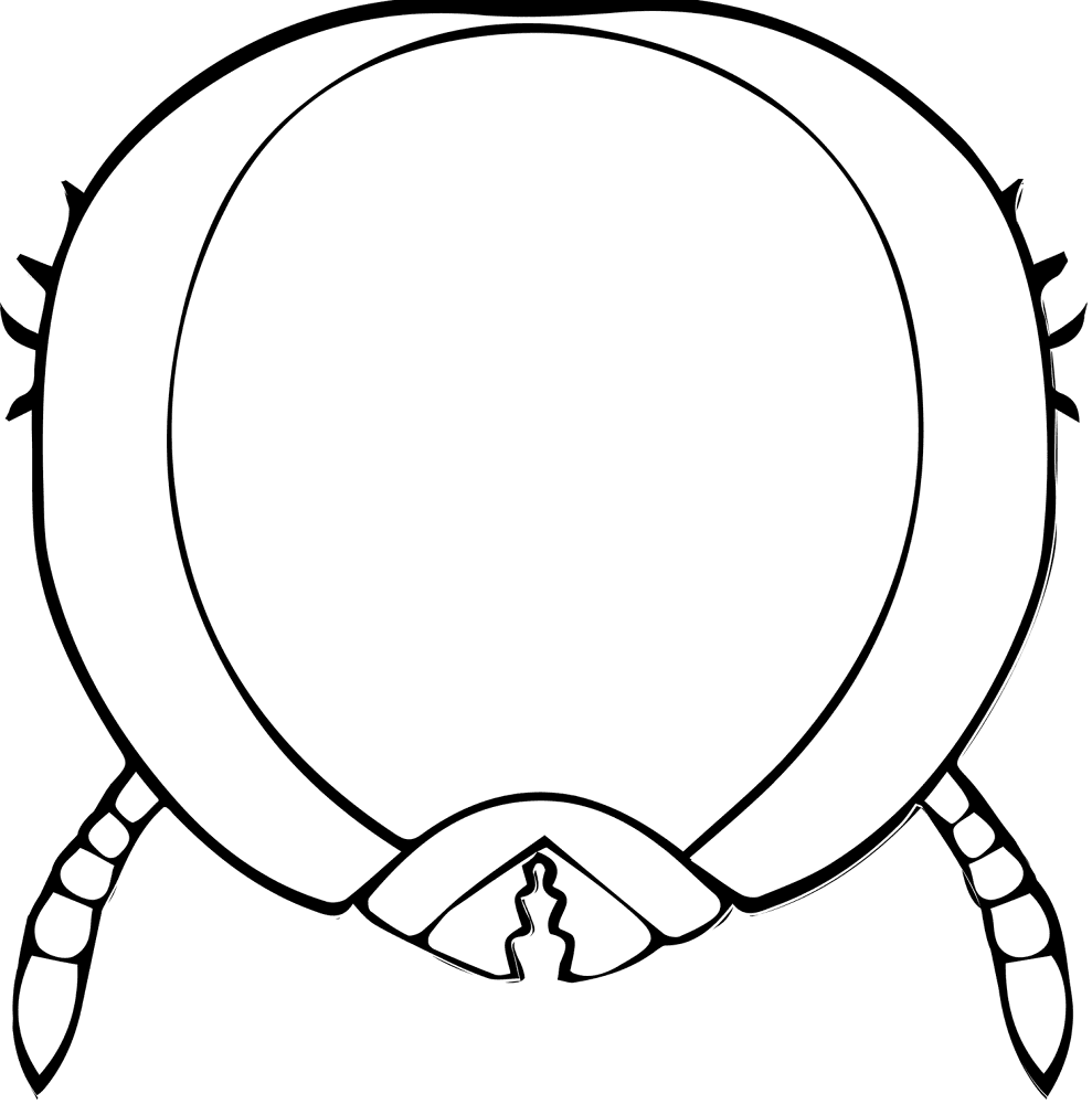 Desenho de Formigas para colorir