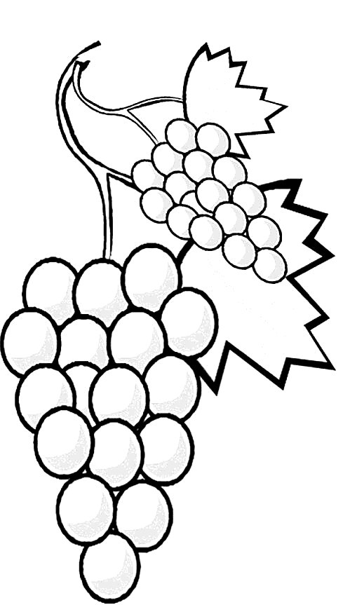 Desenho de Frutas para colorir e imprimir: número 2