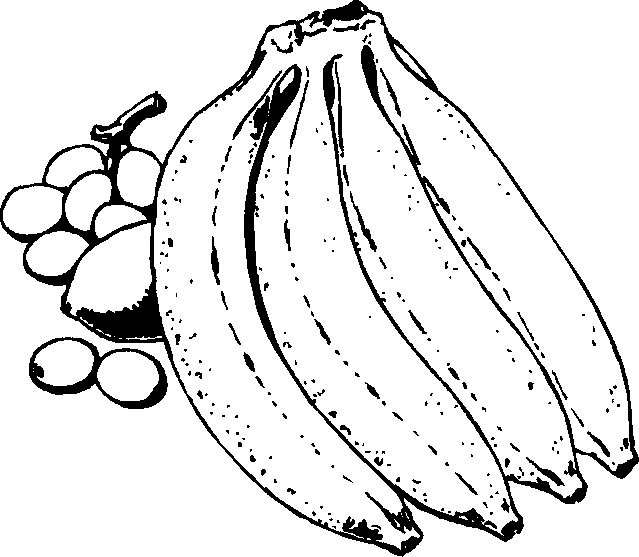 Desenho de Frutas para colorir e imprimir: número 5