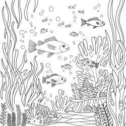 Desenho de Fundo do Mar para colorir e imprimir: número 15