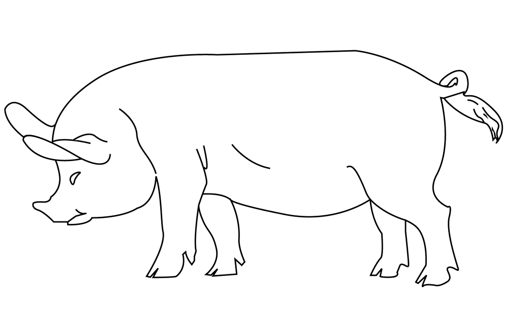 Desenho de Gado para colorir e imprimir: número 12
