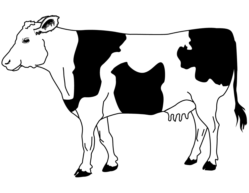 Desenho de Gado para colorir e imprimir: número 25