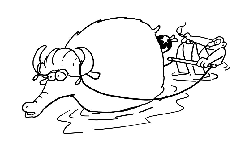 Desenho de Gado para colorir e imprimir: número 26
