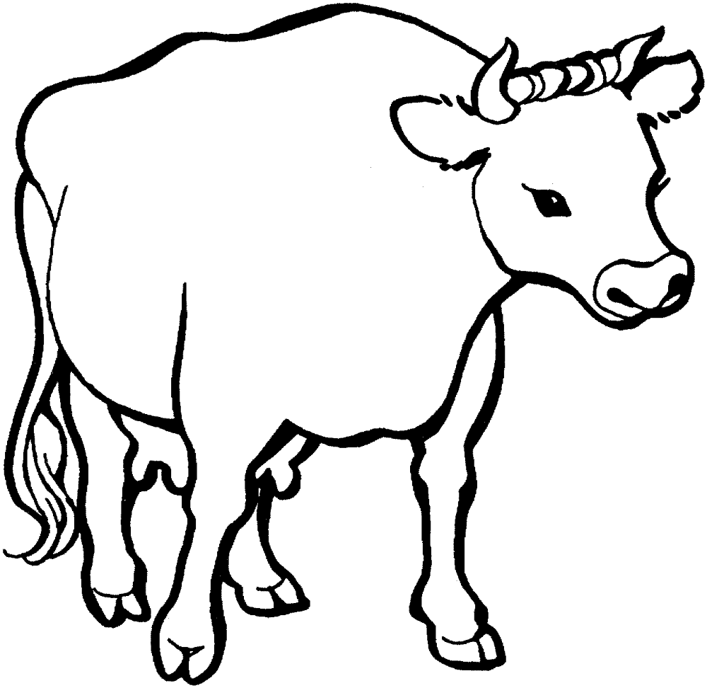 Desenho de Gado para colorir e imprimir: número 30