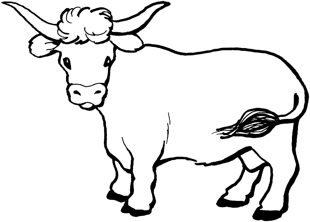 Desenho de Gado para colorir e imprimir: número 31