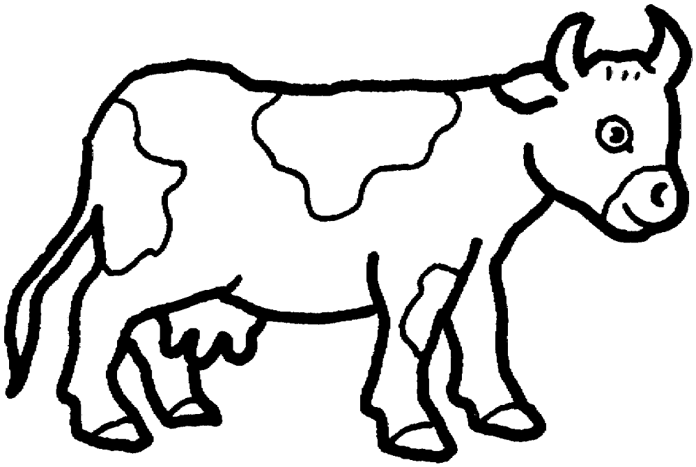 Desenho de Gado para colorir e imprimir: número 33