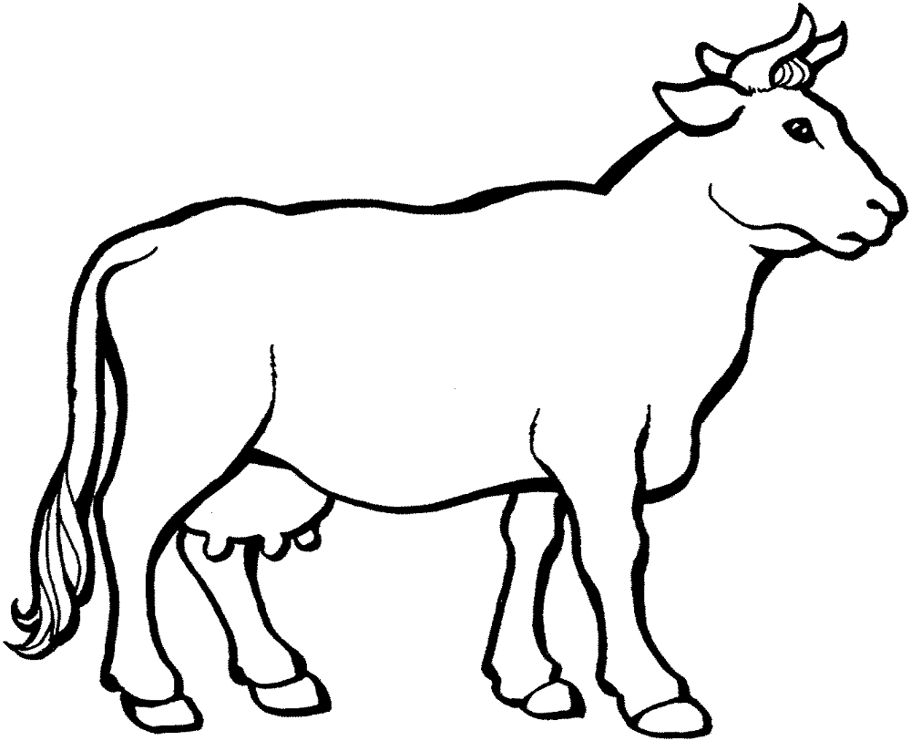 Desenho de Gado para colorir e imprimir: número 36