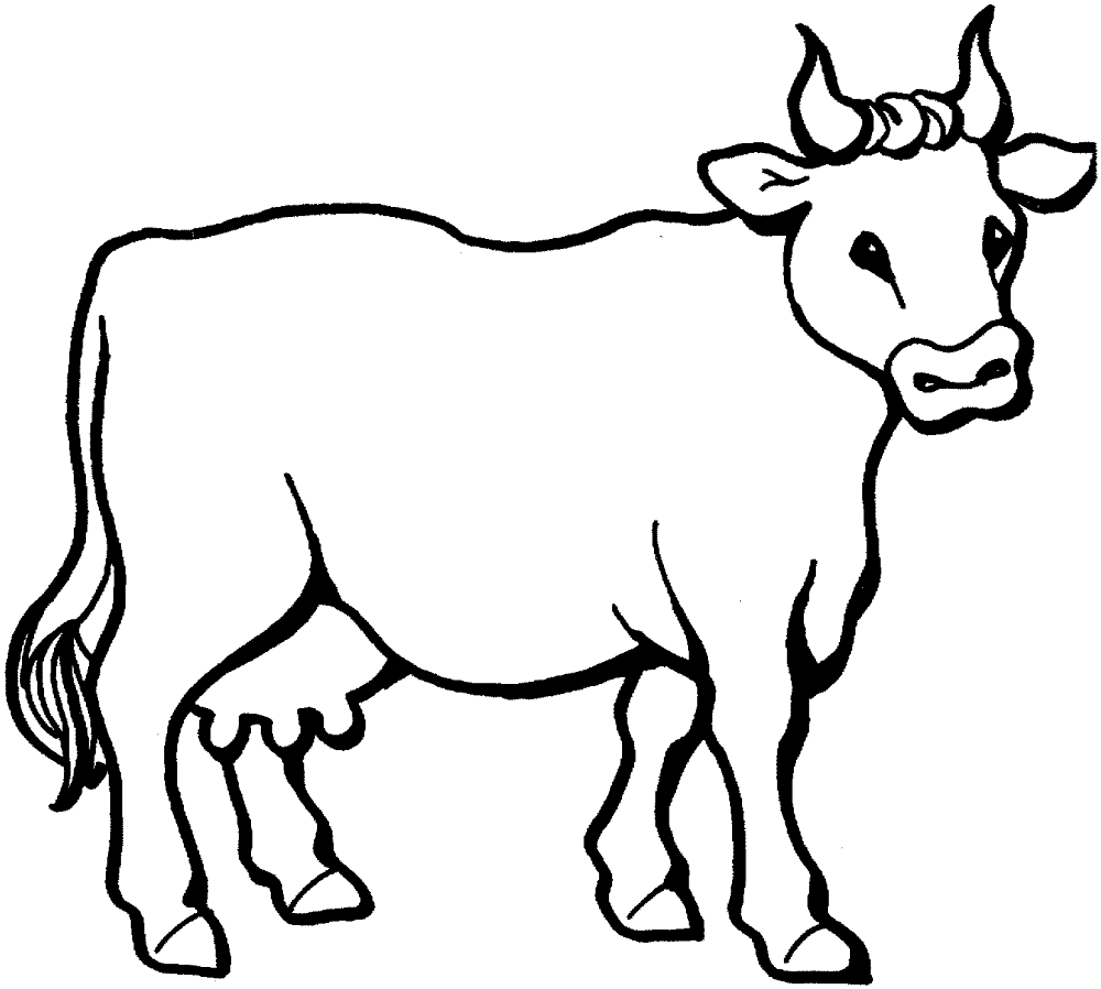 Desenho de Gado para colorir e imprimir: número 37