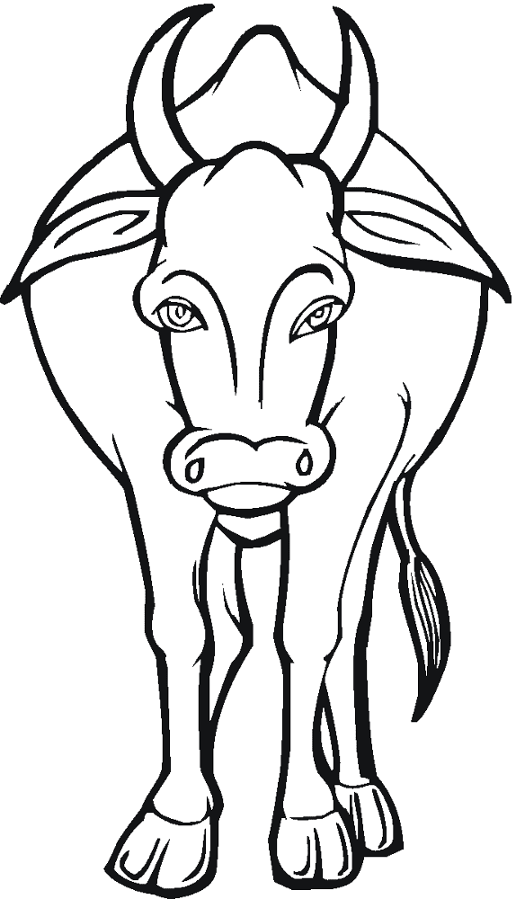 Desenho de Gado para colorir e imprimir: número 38
