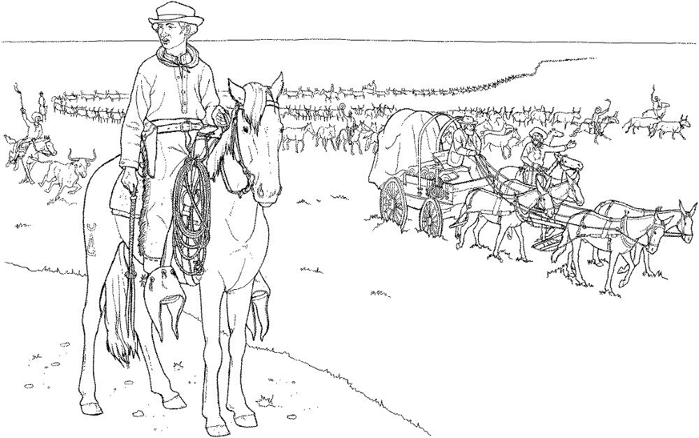 Desenho de Gado para colorir e imprimir: número 42