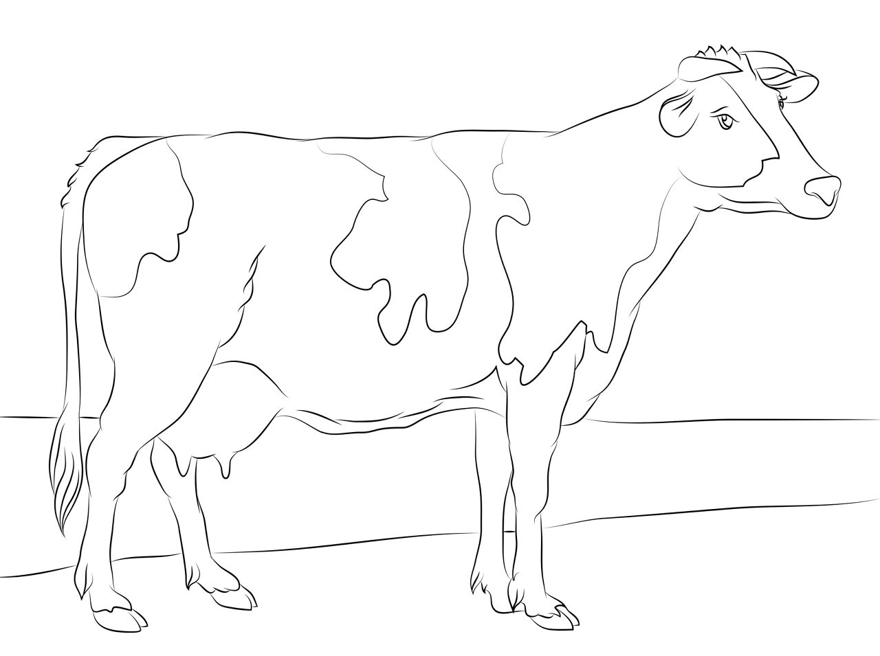 Desenho de Gado para colorir