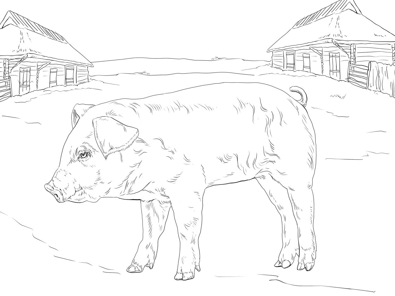 Desenho de Gado para colorir