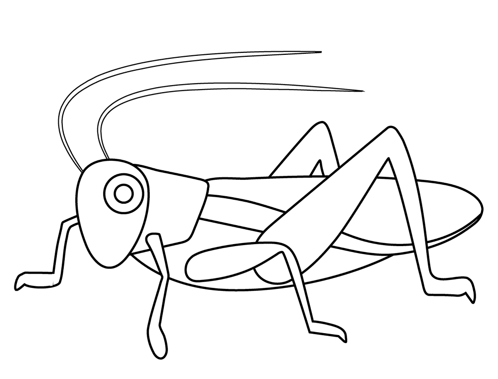 Desenho de Gafanhotos para colorir e imprimir: número 2
