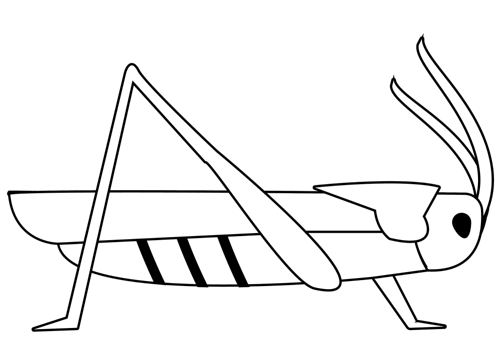 Desenho de Gafanhotos para colorir e imprimir: número 4