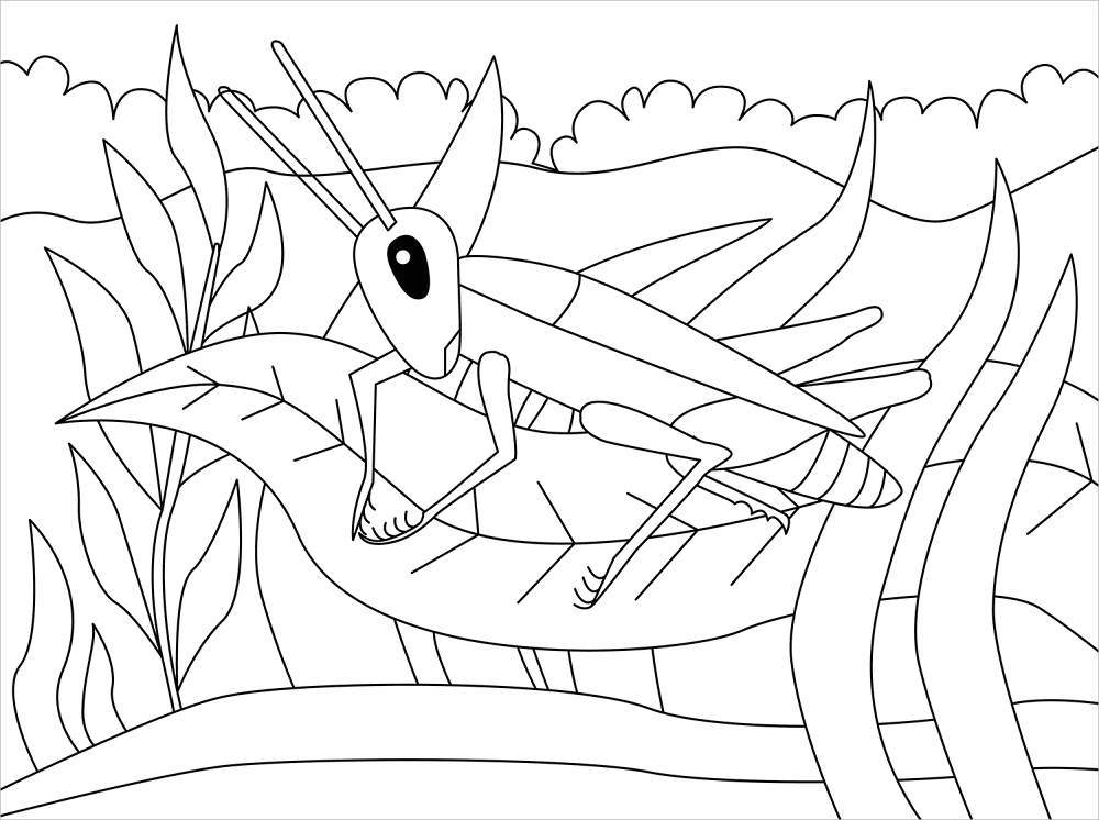 Desenho de Gafanhotos para colorir e imprimir: número 19