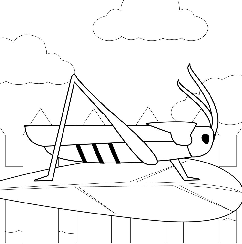 Desenho de Gafanhotos para colorir e imprimir: número 26