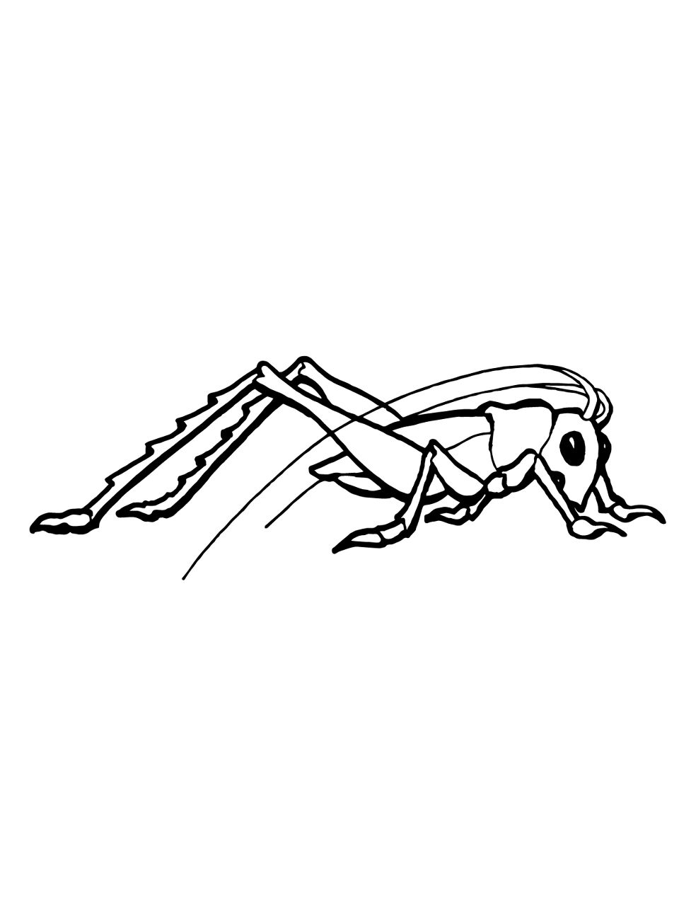 Desenho de Gafanhotos para colorir e imprimir: número 33