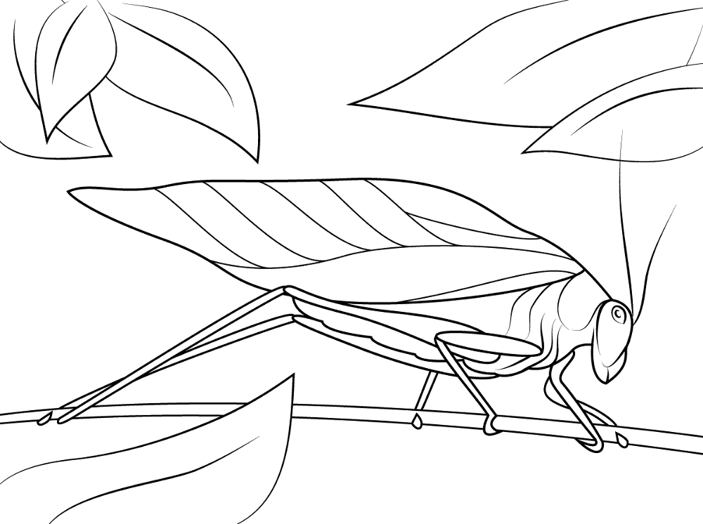 Desenho de Gafanhotos para colorir e imprimir: número 40
