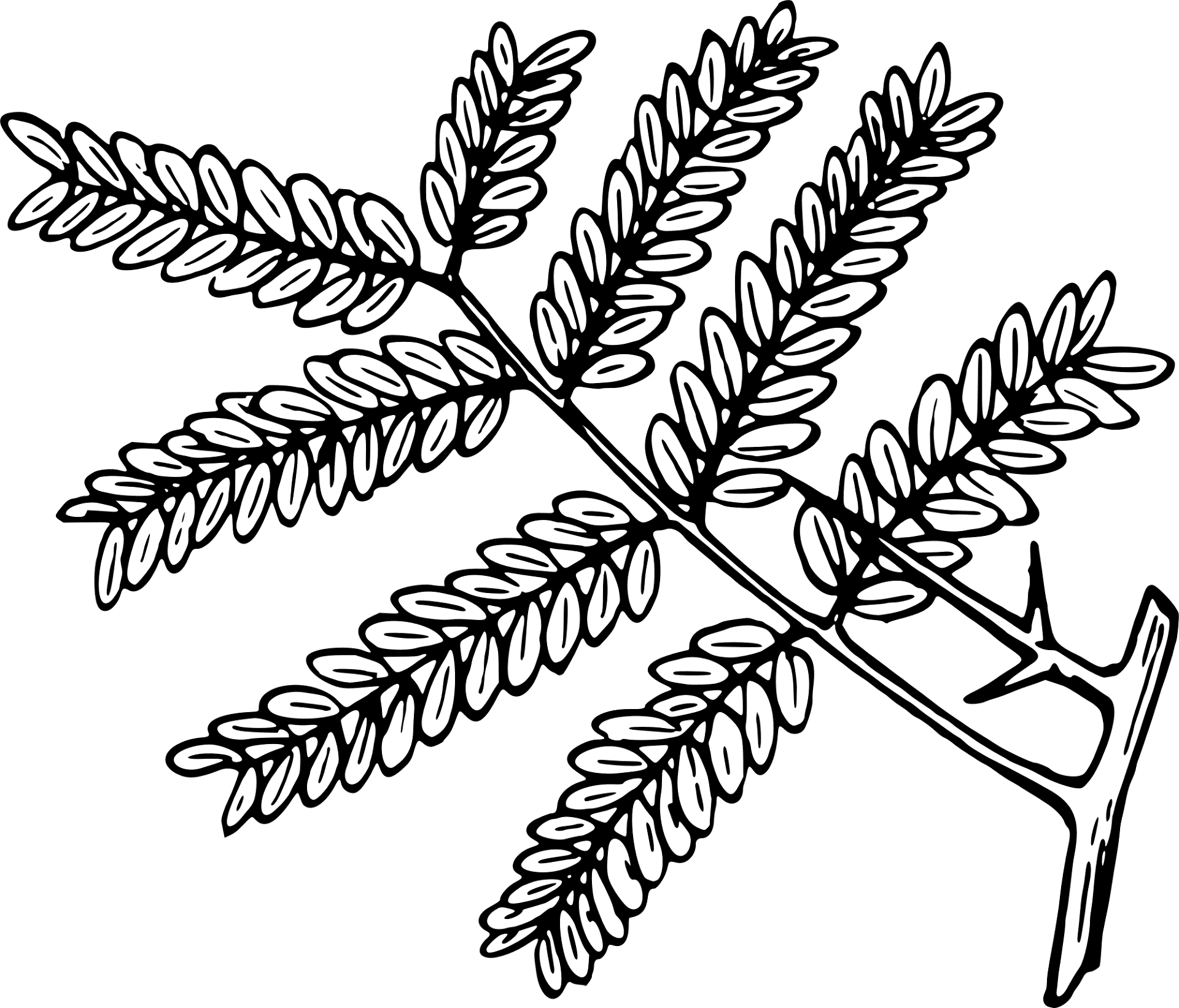 Desenho de Gafanhotos para colorir e imprimir: número 48