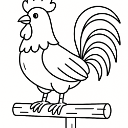 Desenho de Galo para colorir e imprimir: número 11