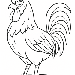 Desenho de Galo para colorir e imprimir: número 15