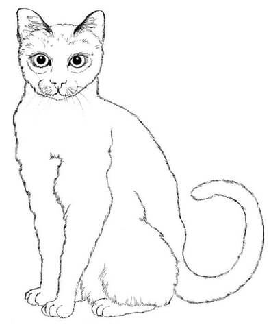 Desenho de Gatos para colorir e imprimir: número 21