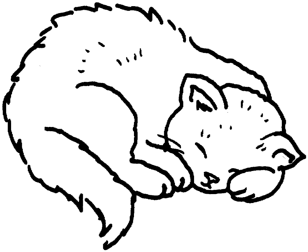 Desenho de Gatos para colorir e imprimir: número 23