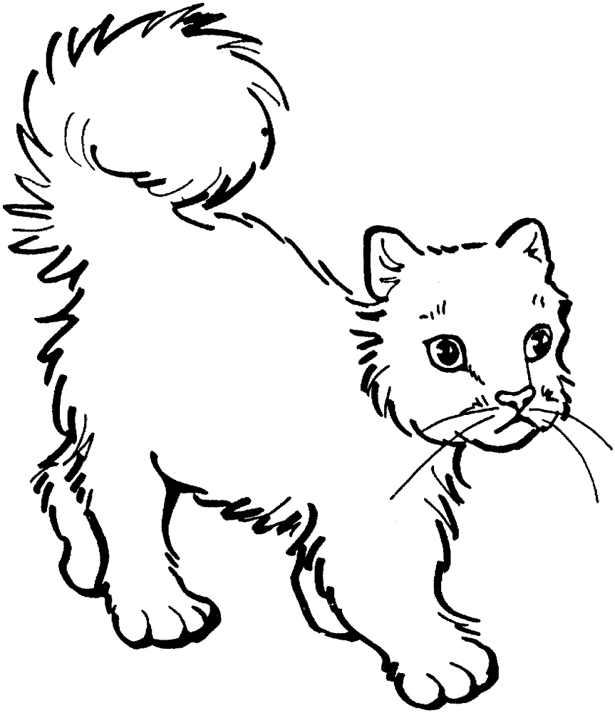 Desenho de Gatos para colorir e imprimir: número 25