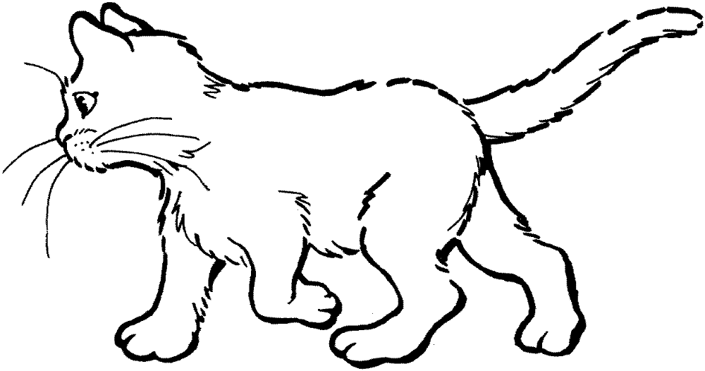 Desenho de Gatos para colorir e imprimir: número 27