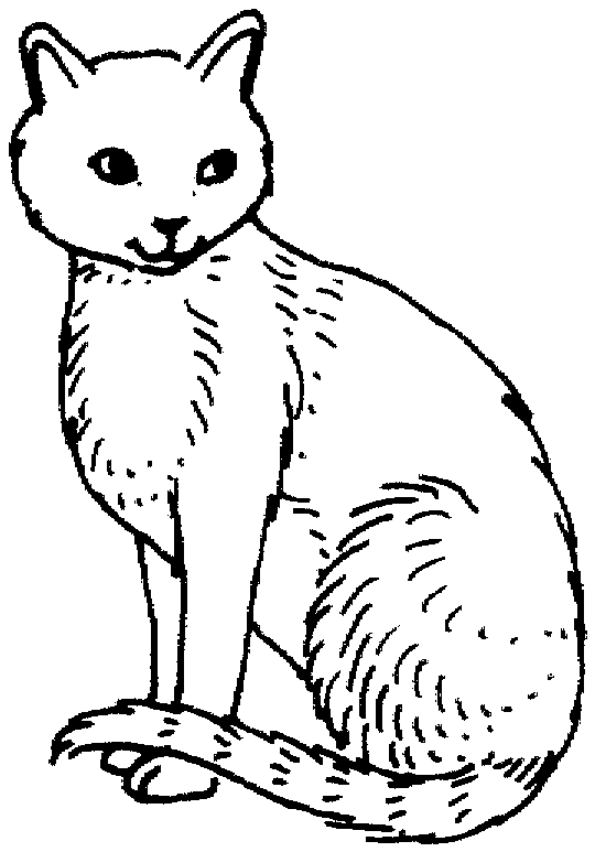 Desenho de Gatos para colorir e imprimir: número 28