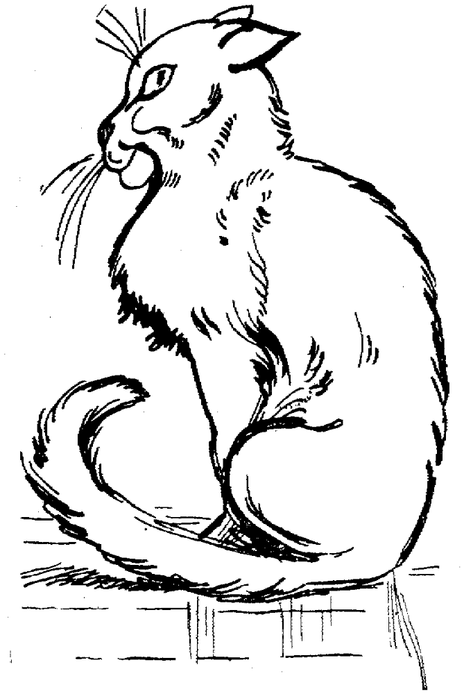 Desenho de Gatos para colorir e imprimir: número 29