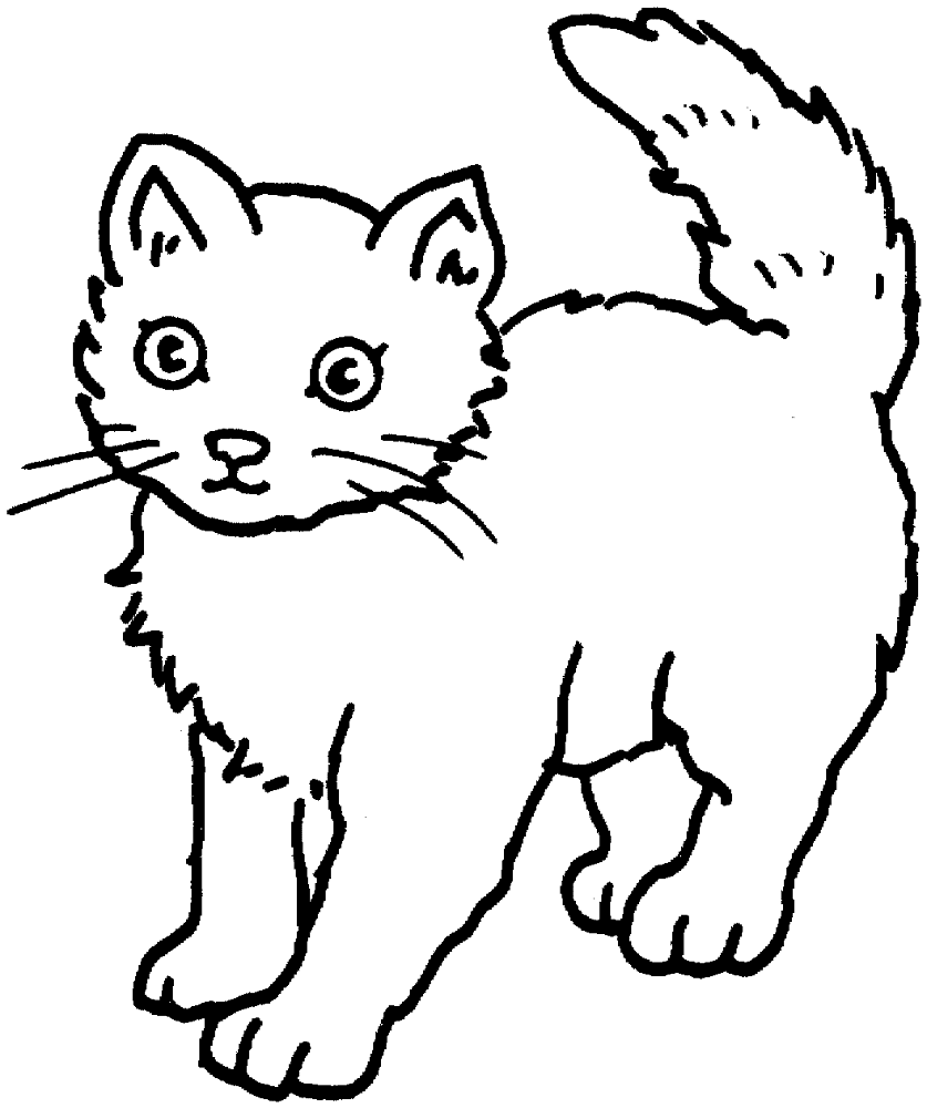 Desenho de Gatos para colorir e imprimir: número 30