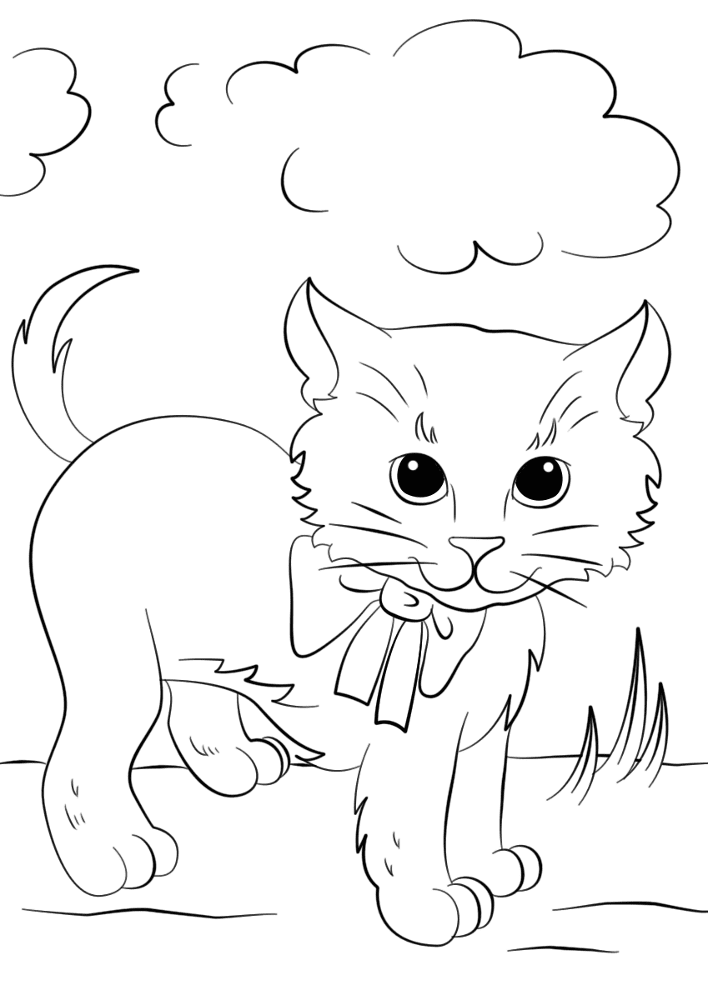Desenho de Gatos para colorir