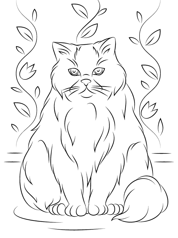 Desenho de Gatos para colorir