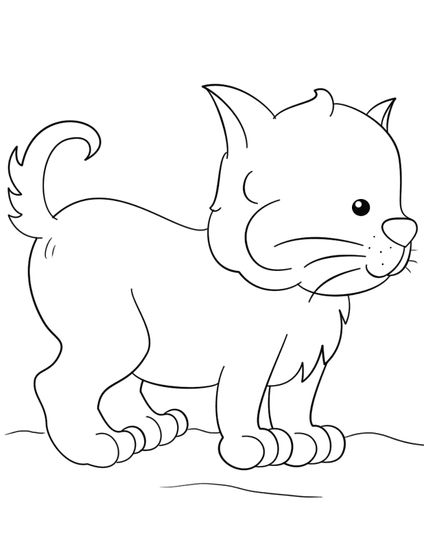 Desenho de Gatos para colorir