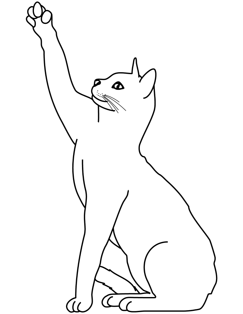 Desenho de Gatos para colorir