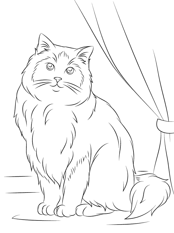 Desenho de Gatos para colorir